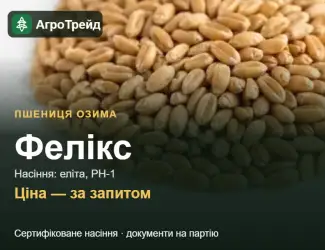 Зображення для оголошення Пшениця Фелікс — насіння еліта, РН-1