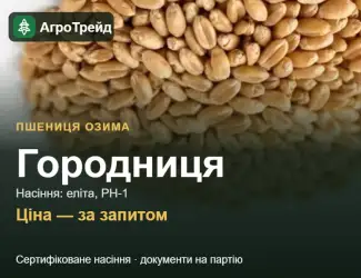 Зображення для оголошення Пшениця Городниця — насіння еліта, РН-1