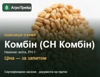 Зображення для оголошення Пшениця Комбін (СН Комбін) — насіння еліта, РН-1