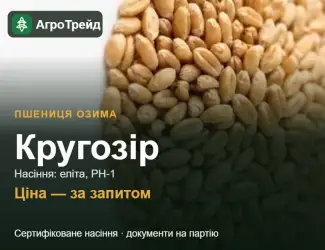 Зображення для оголошення Пшениця Кругозір — насіння еліта, РН-1