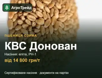 Зображення для оголошення Пшениця КВС Донован — насіння, від 14 800 грн/т
