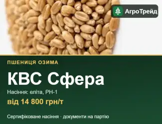Зображення для оголошення Пшениця КВС Сфера — насіння, від 14 800 грн/т