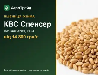 Зображення для оголошення Пшениця КВС Спенсер — насіння, від 14 800 грн/т