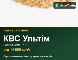 Зображення для оголошення Озима пшениця КВС Ультім — насіння