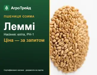 Зображення для оголошення Пшениця озима Леммі — насіння