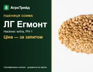 Зображення для оголошення Озима пшениця ЛГ Егмонт — насіння