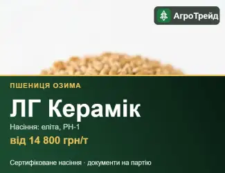 Зображення для оголошення Насіння: пшениця озима ЛГ Керамік