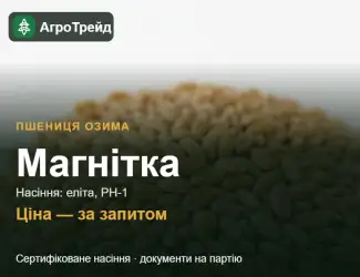 Зображення для оголошення Посівна пшениця Магнітка