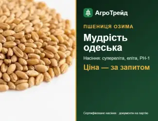 Зображення для оголошення Посівна пшениця Мудрість одеська