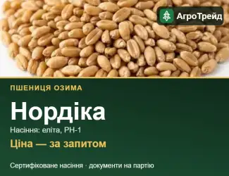 Зображення для оголошення Купити пшеницю Нордіка на посів