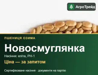 Зображення для оголошення Купити пшеницю Новосмуглянка на посів