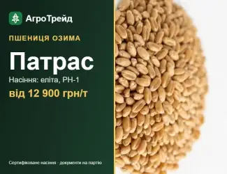 Зображення для оголошення Посівна пшениця Патрас, від 12 900 грн/т