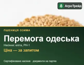Зображення для оголошення Перемога одеська — озима пшениця, насіння