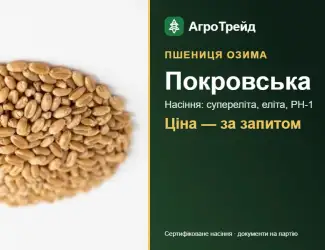 Зображення для оголошення Насіння пшениці Покровська