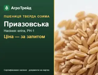 Зображення для оголошення Насіння: пшениця тверда озима Приазовська