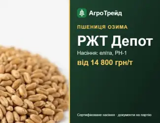 Зображення для оголошення РЖТ Депот — озима пшениця, насіння