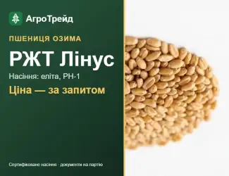 Зображення для оголошення Пшениця озима РЖТ Лінус — насіння
