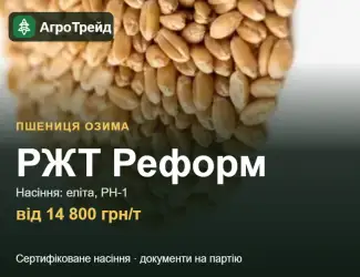 Зображення для оголошення Пшениця РЖТ Реформ для посіву, від 14 800 грн/т