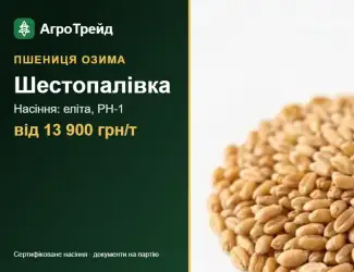 Зображення для оголошення Пшениця озима Шестопалівка — насіння