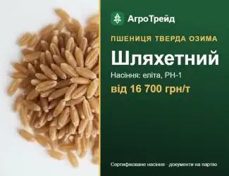 Зображення для оголошення Посівна пшениця Шляхетний, від 16 700 грн/т