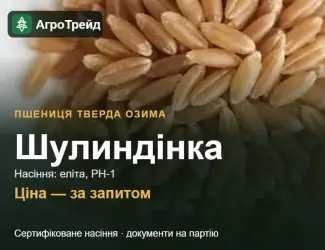 Зображення для оголошення Пшениця тверда озима Шулиндінка — насіння