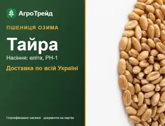 Зображення для оголошення Озима пшениця Тайра — насіння, від 15 300 грн/т