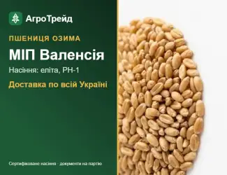 Зображення для оголошення Посівна пшениця МІП Валенсія