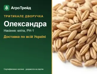 Зображення для оголошення Посівне тритикале Олександра