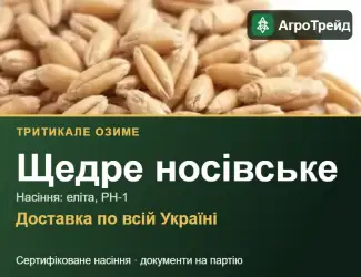 Зображення для оголошення Тритикале Щедре носівське для посіву