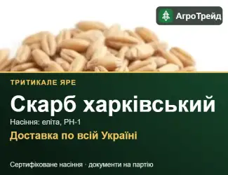 Зображення для оголошення Тритикале Скарб харківський для посіву