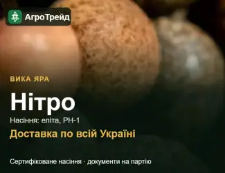 Зображення для оголошення Купити вику Нітро на посів