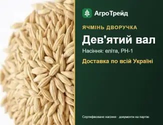 Зображення для оголошення Купити ячмінь Дев'ятий вал на посів