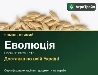 Зображення для оголошення Озимий ячмінь Еволюція — насіння