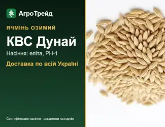 Зображення для оголошення Посівний ячмінь КВС Дунай, від 14 800 грн/т
