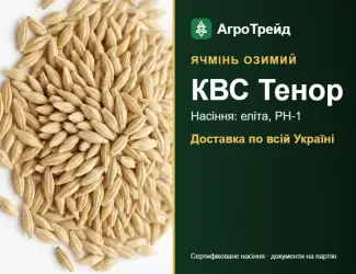 Зображення для оголошення Озимий ячмінь КВС Тенор — насіння
