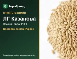 Зображення для оголошення ЛГ Казанова — озимий ячмінь, насіння