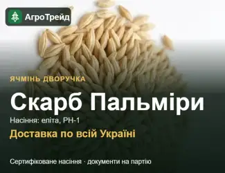 Зображення для оголошення Ячмінь дворучка Скарб Пальміри — насіння