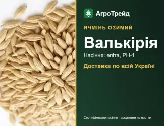 Зображення для оголошення Насіння ячменю Валькірія