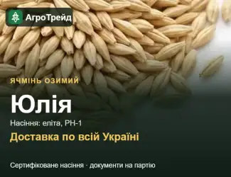 Зображення для оголошення Юлія — озимий ячмінь, насіння