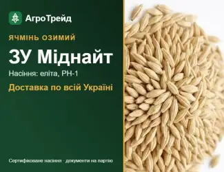Зображення для оголошення Насіння ячменю ЗУ Міднайт, від 14 800 грн/т