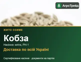 Зображення для оголошення Кобза — озиме жито, насіння