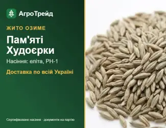 Зображення для оголошення Насіння: жито озиме Пам'яті Худоєрки