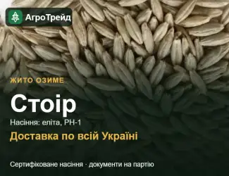 Зображення для оголошення Купити жито Стоір на посів