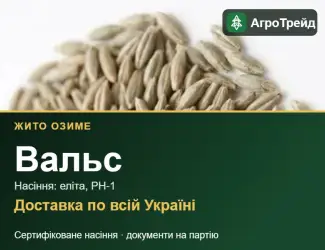 Зображення для оголошення Насіння жита Вальс