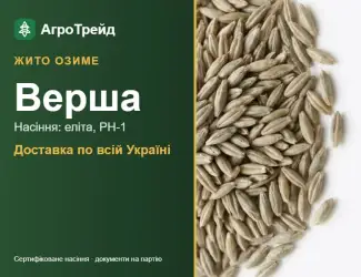Зображення для оголошення Насіння: жито озиме Верша