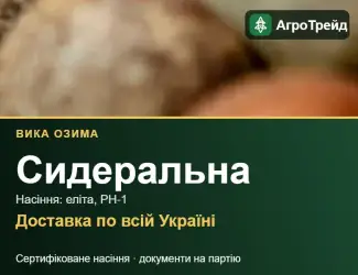 Зображення для оголошення Вика озима (сидеральна) — насіння еліта, РН-1