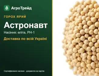 Зображення для оголошення Астронавт — ярий горох, насіння