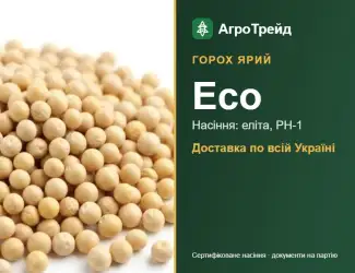 Зображення для оголошення Насіння ярого гороху Есо