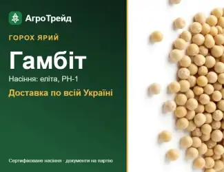 Зображення для оголошення Гамбіт — ярий горох, насіння
