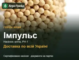 Зображення для оголошення Імпульс — ярий горох, насіння, від 29 700 грн/т